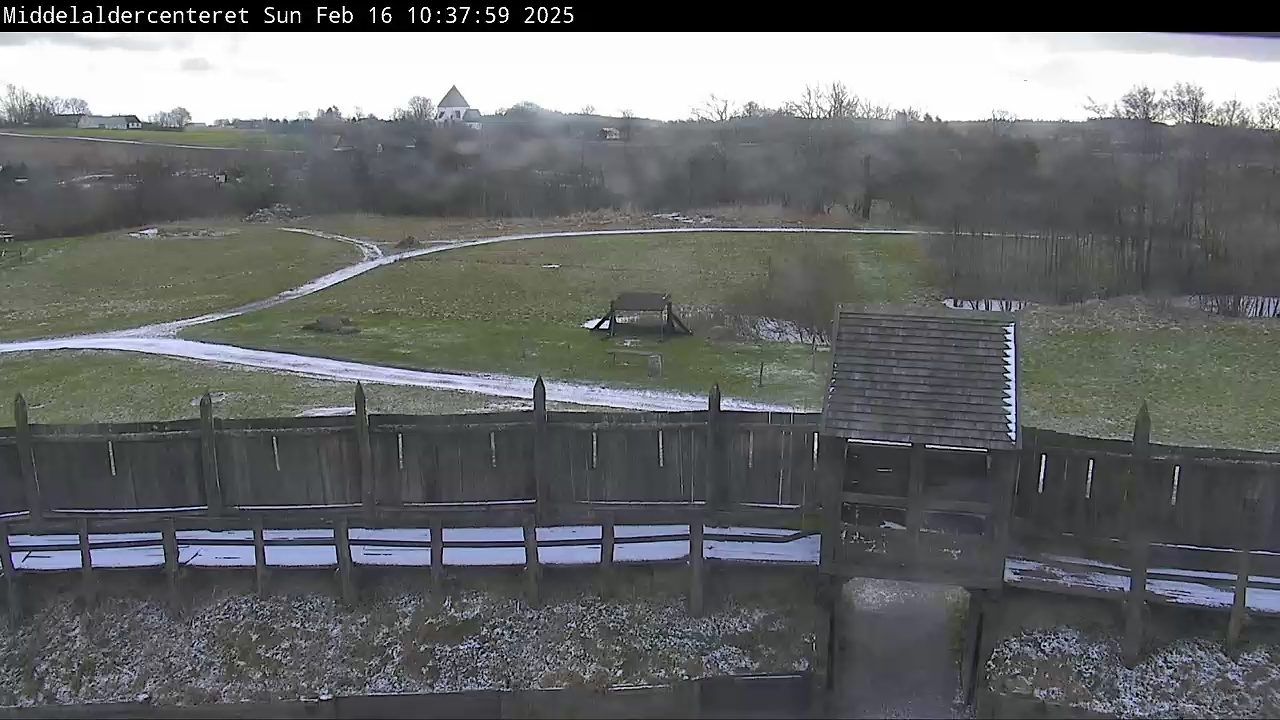 Live Image