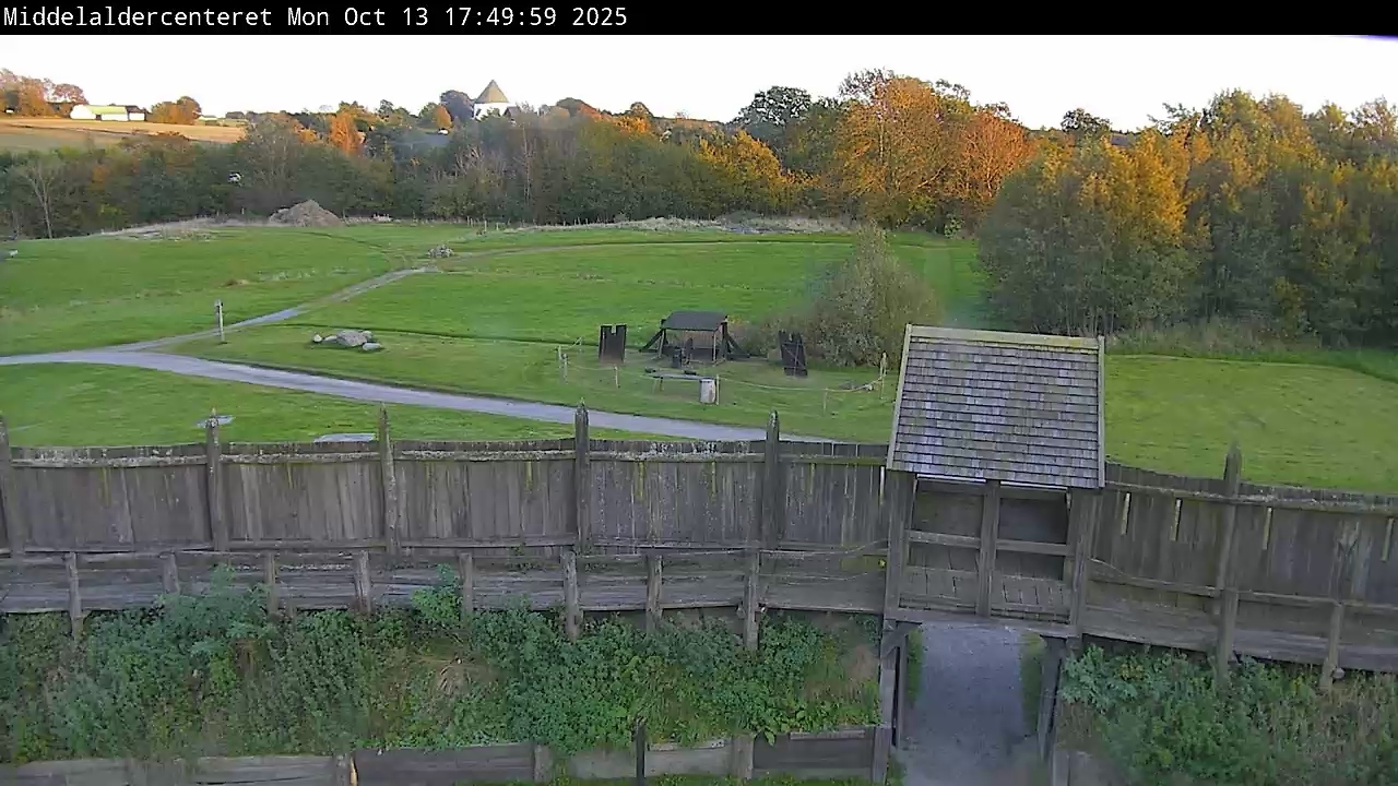 Live Image
