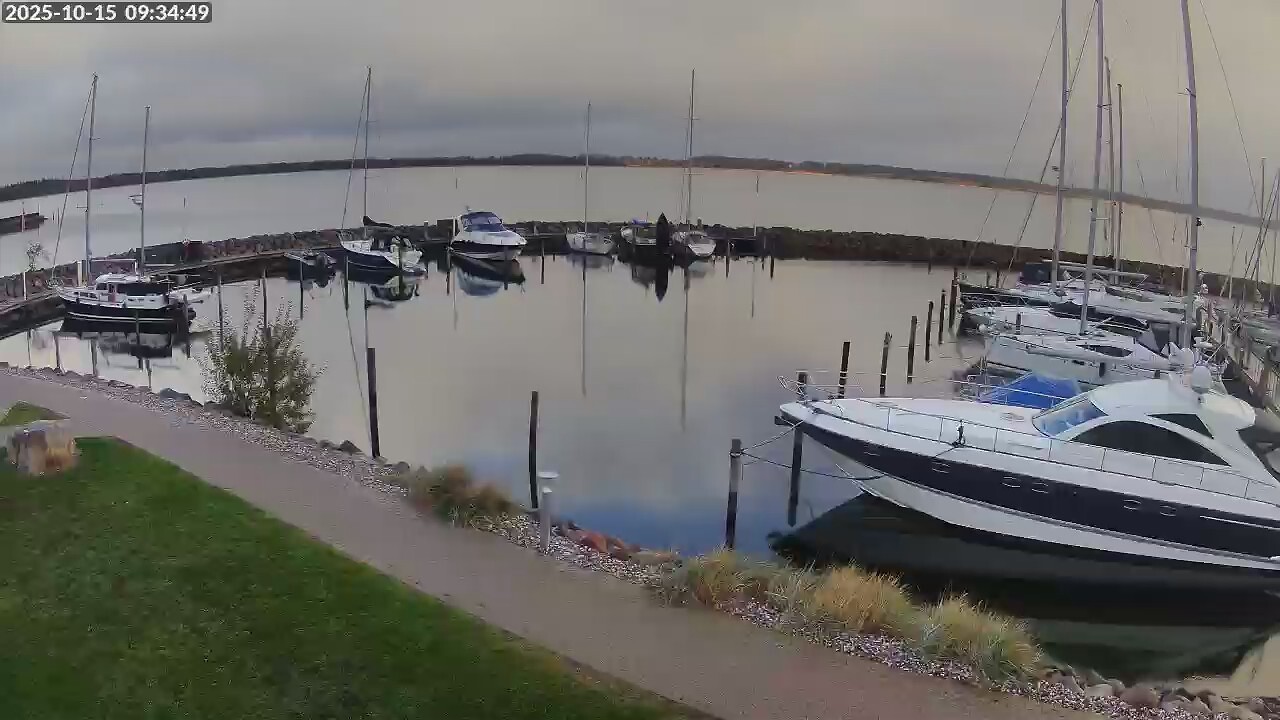 Live Image