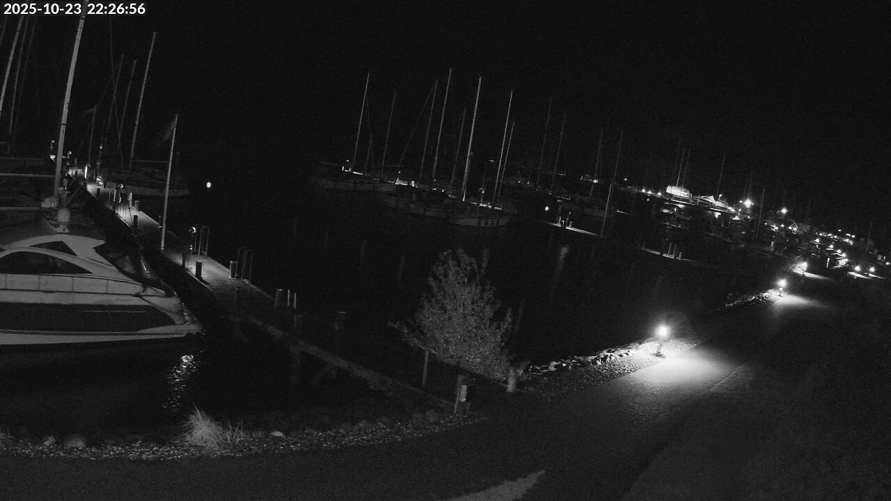 Live Image