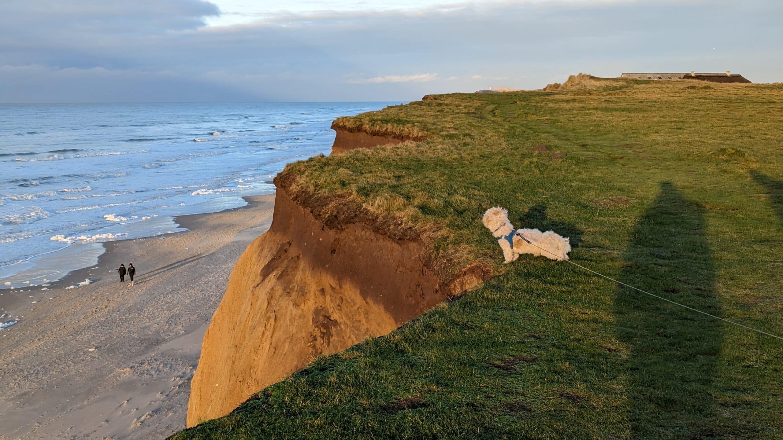 Ein Hund lässt einen Drachen auf einer Klippe mit Blick auf den Ozean steigen.