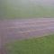 Ein aktuelles Bild einer Webcam