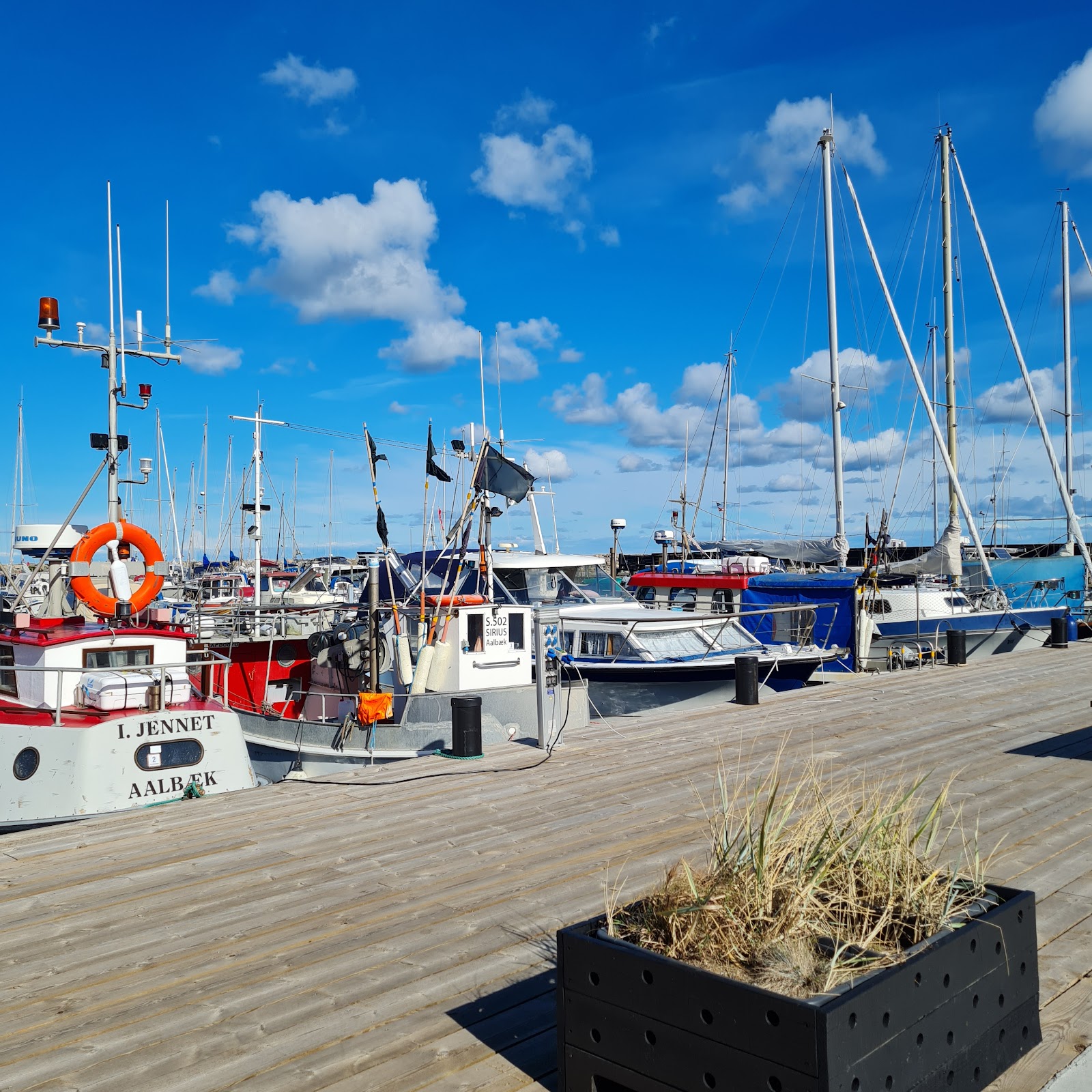 Hafen Aalbæk