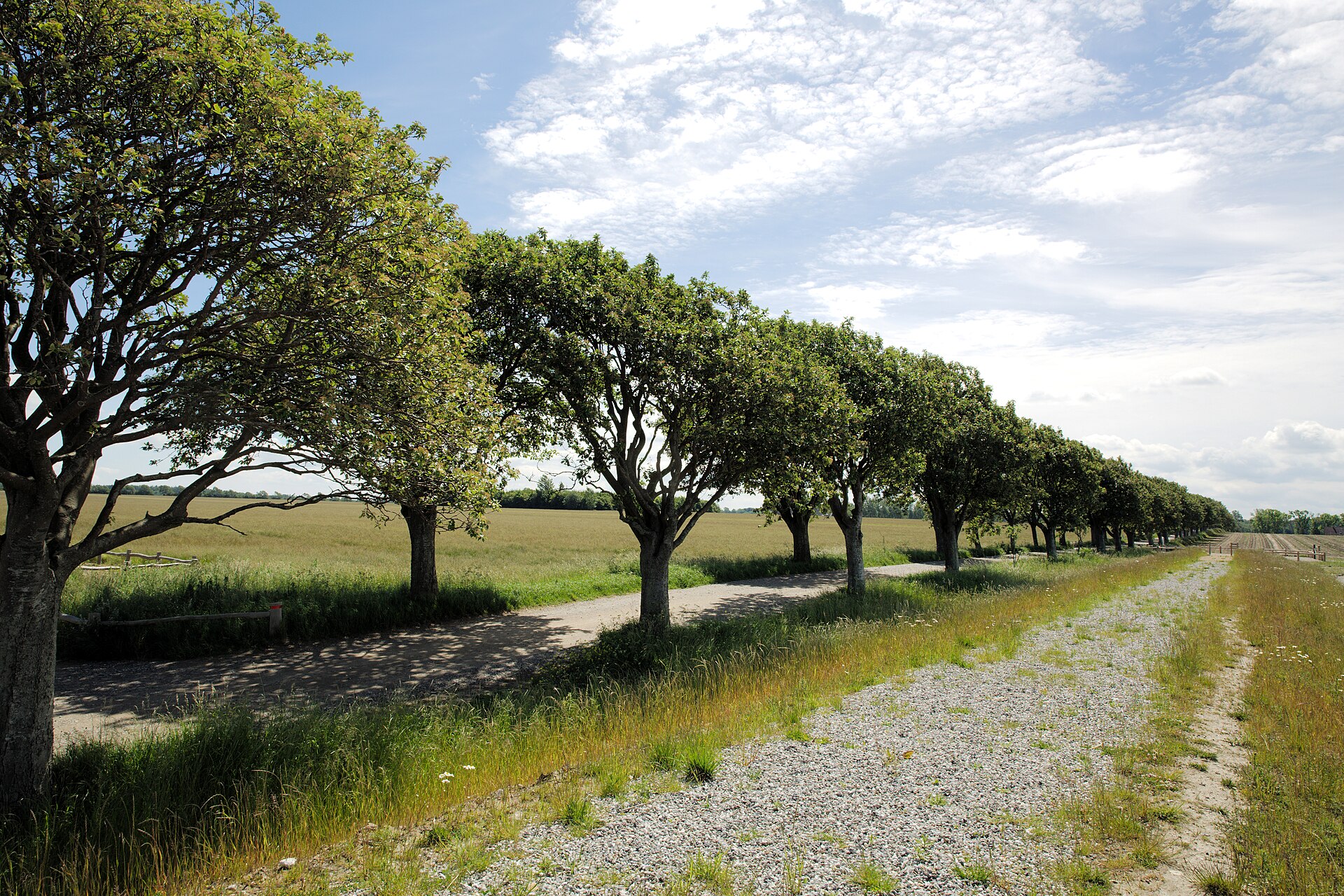 Urlaubsbild von Langø in Mitteljütland (Ostsee), Dänemark