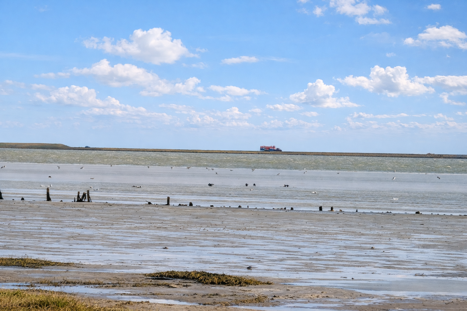 Urlaubsbild von Mandø in Süddänemark (Nordsee), Dänemark
