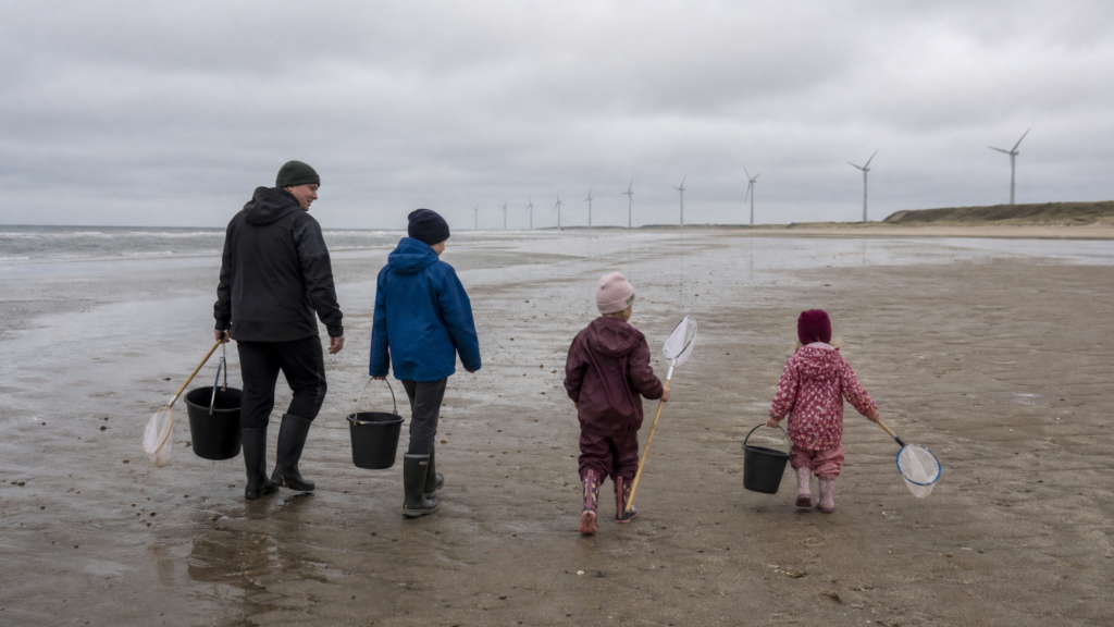 Natursafari – Tierleben am Strand und im Meer