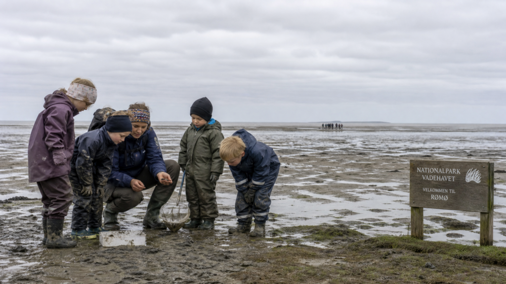 Wattenmeer-Expedition auf Augenhöhe der Kinder – Naturcenter Tønnisgård