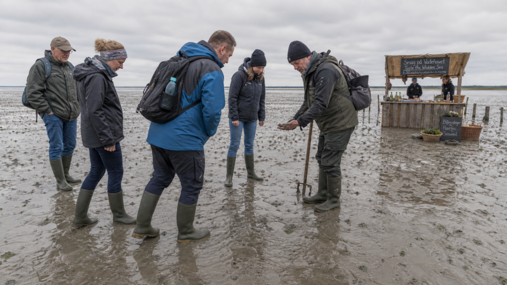 Gastronomische Wattwanderung – vom Wattenmeer zum Teller