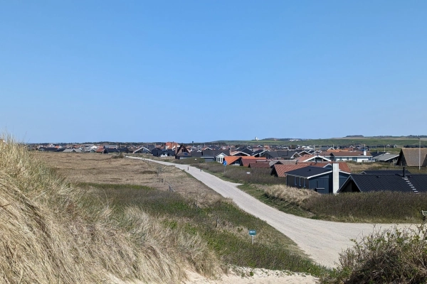 Vejlby Klit