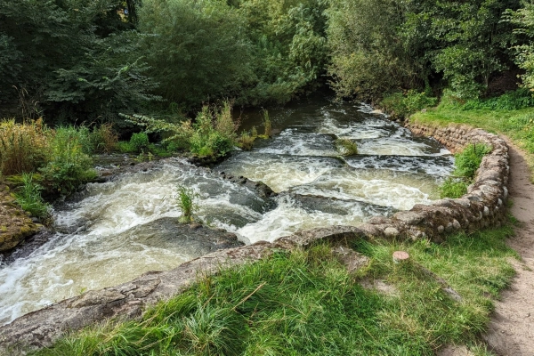 Fischtreppe Bindslev