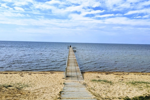 Ringkøbing Fjord