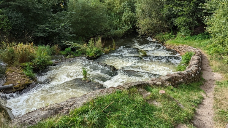 Fischtreppe Bindslev